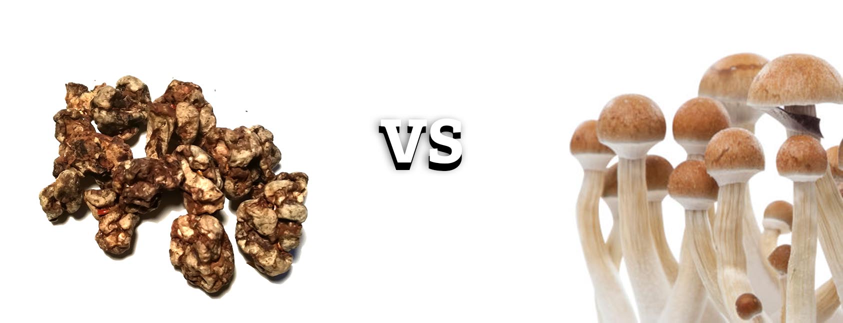 truffles_vs_mushrooms